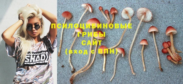 ECSTASY Белоозёрский
